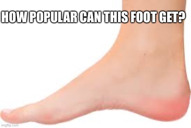 How popular can this foot get? | HOW POPULAR CAN THIS FOOT GET? | image tagged in foot | made w/ Imgflip meme maker
