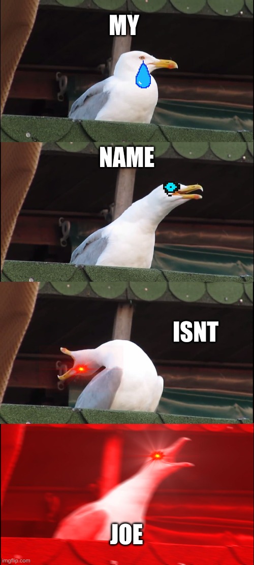 follow me and can i be a moderator here | MY; NAME; ISNT; JOE | image tagged in memes,inhaling seagull | made w/ Imgflip meme maker