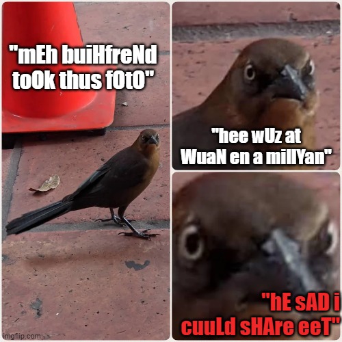 Grackle ATX 3Pane | "mEh buiHfreNd toOk thus fOtO"; "hee wUz at WuaN en a millYan"; "hE sAD i cuuLd sHAre eeT" | image tagged in grackle atx 3pane | made w/ Imgflip meme maker