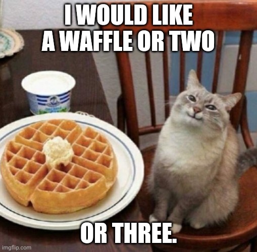 Cat likes their waffle | I WOULD LIKE A WAFFLE OR TWO; OR THREE. | image tagged in cat likes their waffle | made w/ Imgflip meme maker