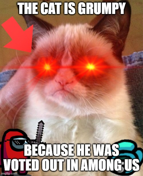That Cat Is Grumpy | THE CAT IS GRUMPY; BECAUSE HE WAS VOTED OUT IN AMONG US | image tagged in grumpy cat,among us | made w/ Imgflip meme maker