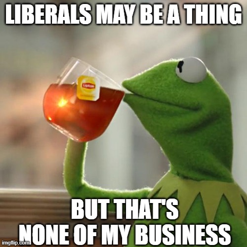 But That's None Of My Business | LIBERALS MAY BE A THING; BUT THAT'S NONE OF MY BUSINESS | image tagged in memes,but that's none of my business,kermit the frog | made w/ Imgflip meme maker