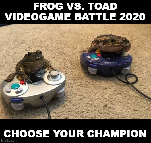 frog v toad video game battle 2020 | FROG VS. TOAD
VIDEOGAME BATTLE 2020; CHOOSE YOUR CHAMPION | image tagged in frog,toad,video games,videogames | made w/ Imgflip meme maker