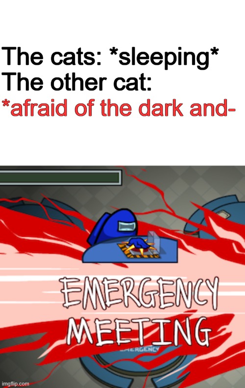 The Other Cats | The cats: *sleeping*
The other cat:; *afraid of the dark and- | image tagged in gaming,among us,emergency meeting among us,there is 1 imposter among us,funny cats,lol so funny | made w/ Imgflip meme maker