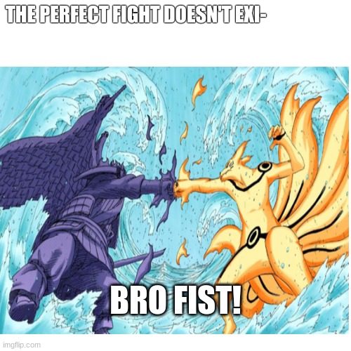 Perfect Fight | THE PERFECT FIGHT DOESN'T EXI-; BRO FIST! | image tagged in naruto fight,perfect fight | made w/ Imgflip meme maker