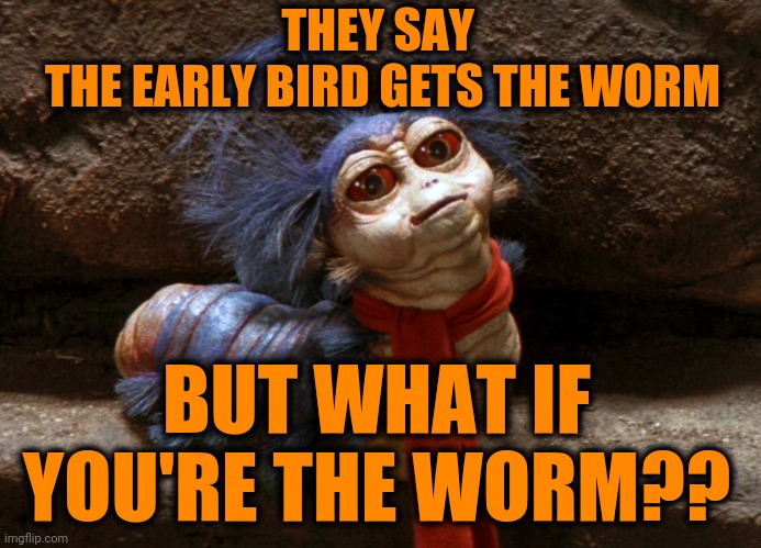 Dog Eat Dog World |  THEY SAY 
THE EARLY BIRD GETS THE WORM; BUT WHAT IF YOU'RE THE WORM?? | image tagged in memes,early bird,so true memes | made w/ Imgflip meme maker