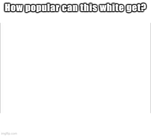 white background | How popular can this white get? | image tagged in white background | made w/ Imgflip meme maker