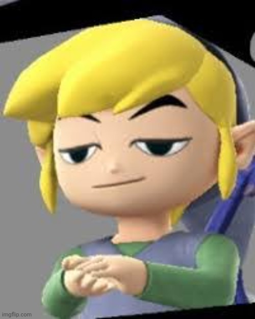 Toon link | image tagged in toon link | made w/ Imgflip meme maker