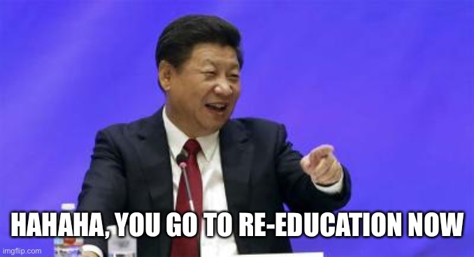 Xi Jinping Laughing | HAHAHA, YOU GO TO RE-EDUCATION NOW | image tagged in xi jinping laughing | made w/ Imgflip meme maker
