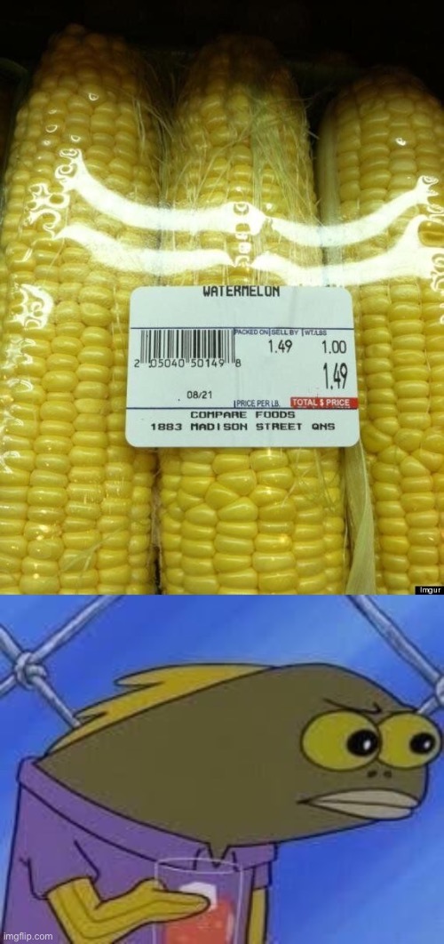 hate to break it to you, but that’s not watermelon. | image tagged in hmmmmmmmm,you had one job,how tho | made w/ Imgflip meme maker