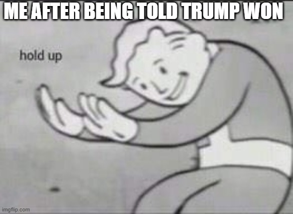 Fallout Hold Up | ME AFTER BEING TOLD TRUMP WON | image tagged in fallout hold up | made w/ Imgflip meme maker