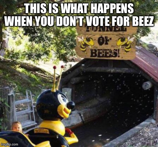 They will break much more than your kneez | THIS IS WHAT HAPPENS WHEN YOU DON’T VOTE FOR BEEZ | image tagged in politics lol | made w/ Imgflip meme maker