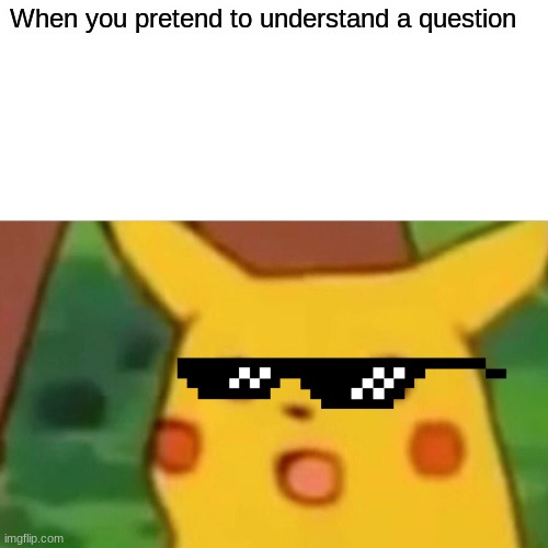 understand | When you pretend to understand a question | image tagged in memes,surprised pikachu | made w/ Imgflip meme maker