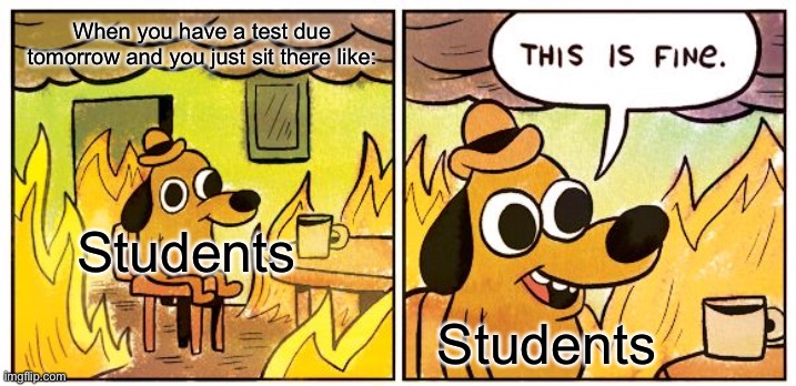 Imgflip should add a school category when you make memes | When you have a test due tomorrow and you just sit there like:; Students; Students | image tagged in memes,this is fine | made w/ Imgflip meme maker