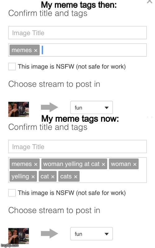 My memes be like | My meme tags then:; My meme tags now: | image tagged in imgflip,meme,woman yelling at cat,be like,memes i laughed at then vs memes i laugh at now,memes | made w/ Imgflip meme maker