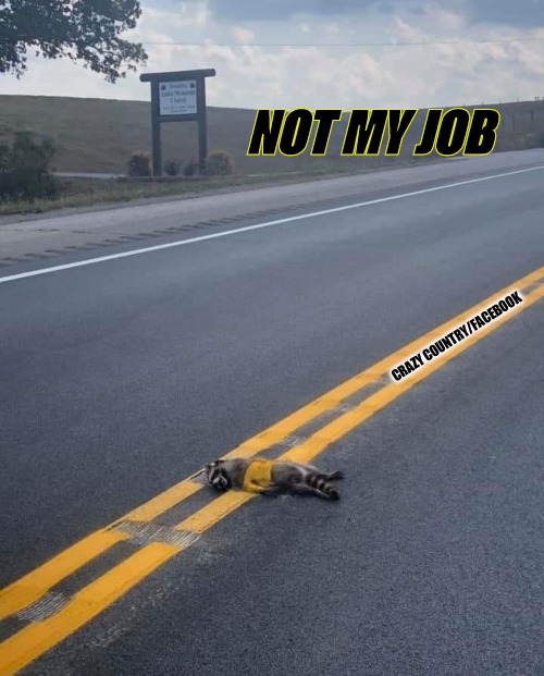 Racoon on highway | NOT MY JOB; CRAZY COUNTRY/FACEBOOK | image tagged in funny memes | made w/ Imgflip meme maker