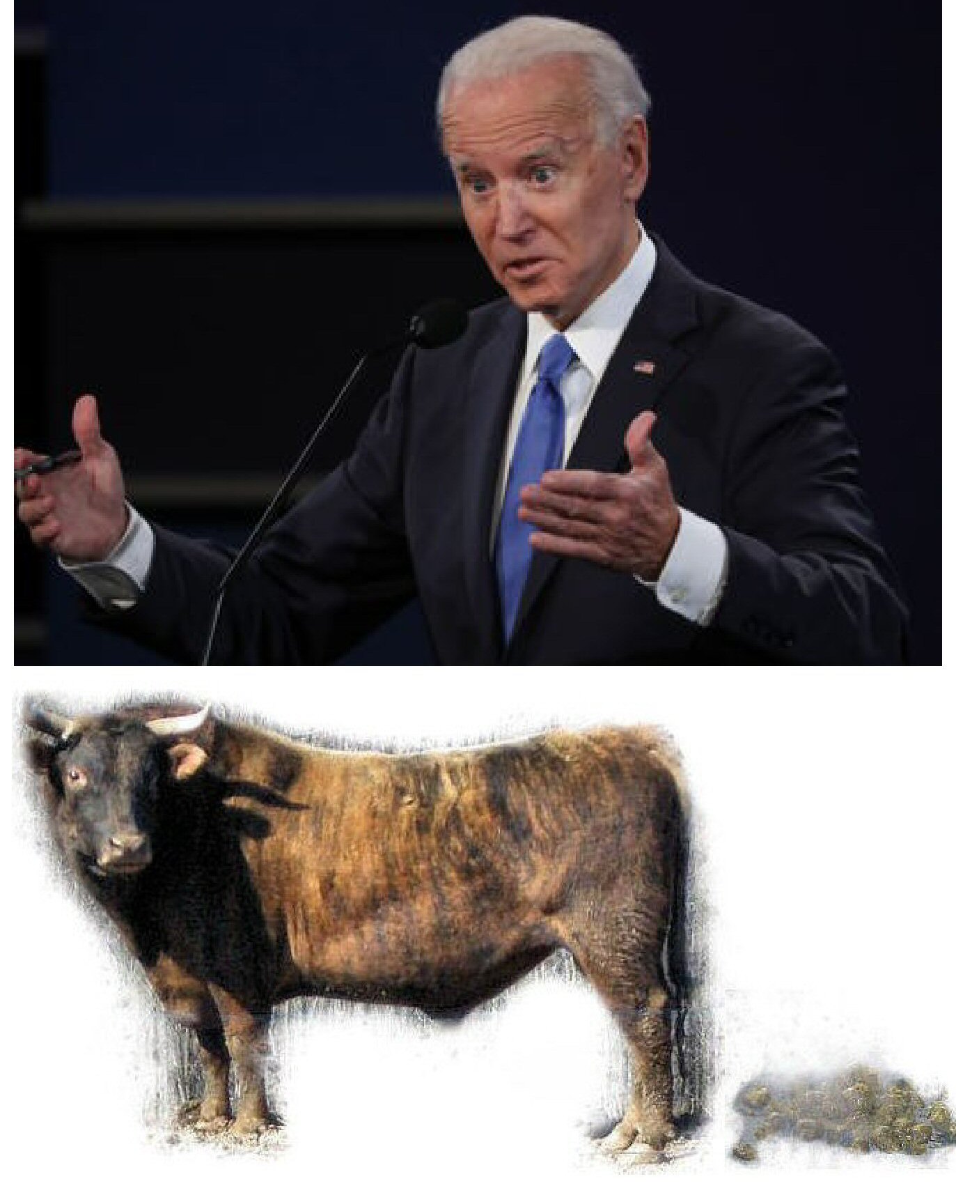 High Quality Biden Blank Meme Template