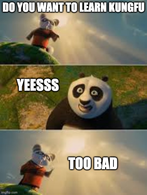 Shifu | DO YOU WANT TO LEARN KUNGFU; YEESSS; TOO BAD | image tagged in shifu | made w/ Imgflip meme maker