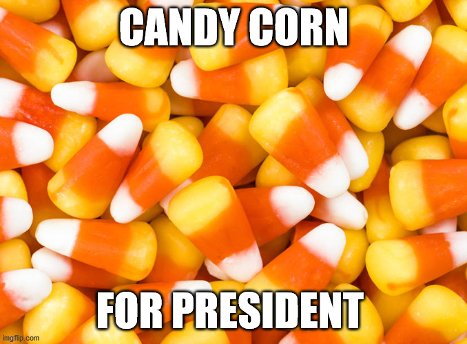 Halloween | CANDY CORN; FOR PRESIDENT | image tagged in candy corn,halloween,president | made w/ Imgflip meme maker