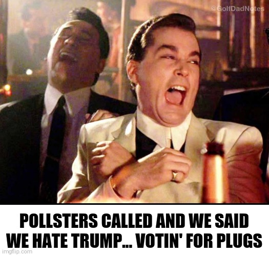 Pollsters | POLLSTERS CALLED AND WE SAID WE HATE TRUMP... VOTIN' FOR PLUGS | image tagged in trumo,biden,plugs,voting | made w/ Imgflip meme maker