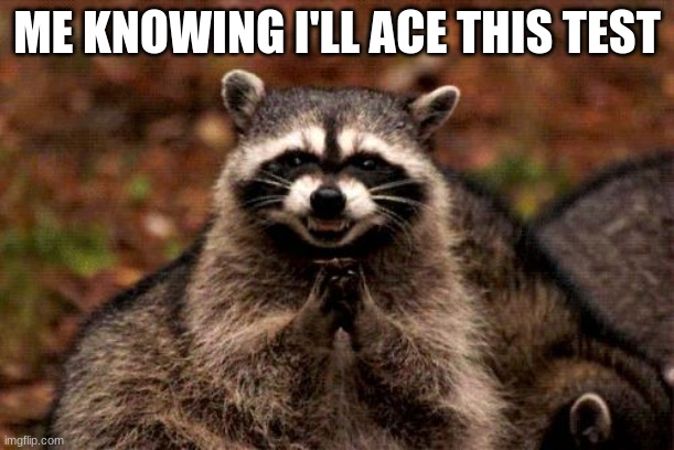 Evil Plotting Raccoon | ME KNOWING I'LL ACE THIS TEST | image tagged in memes,evil plotting raccoon | made w/ Imgflip meme maker