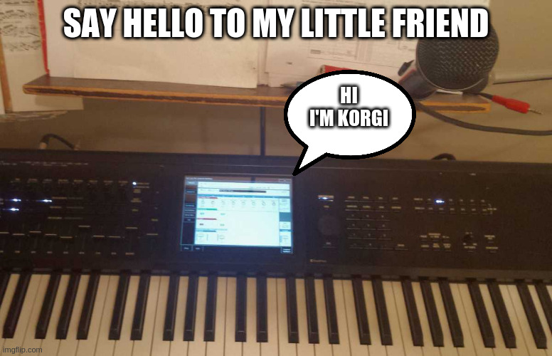 no pictures for memes of the sounds coming from this place | SAY HELLO TO MY LITTLE FRIEND; HI I'M KORGI | image tagged in hobbies,kewlew fan | made w/ Imgflip meme maker