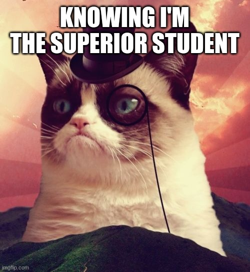 Grumpy Cat Top Hat |  KNOWING I'M THE SUPERIOR STUDENT | image tagged in memes,grumpy cat top hat,grumpy cat | made w/ Imgflip meme maker