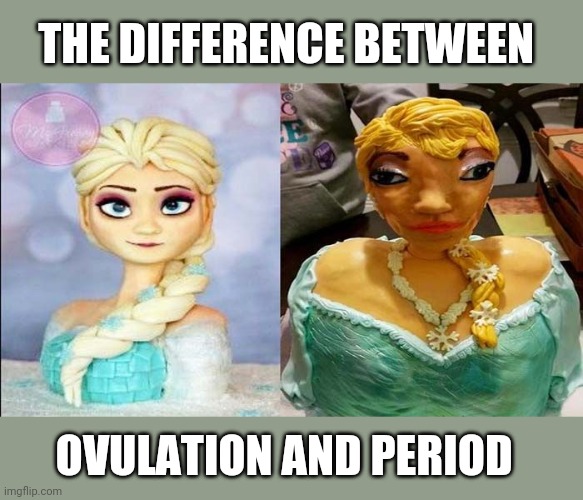 Any questions? | THE DIFFERENCE BETWEEN; OVULATION AND PERIOD | made w/ Imgflip meme maker