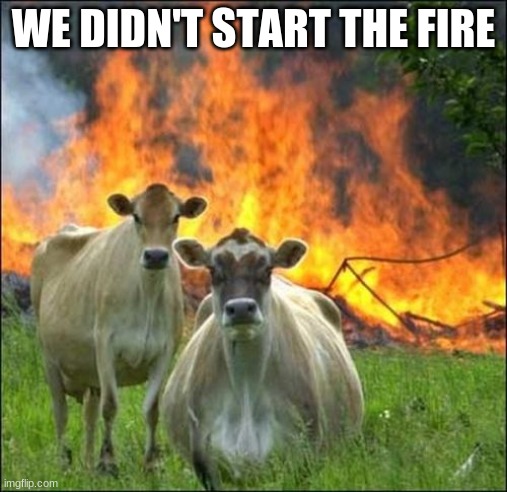 Evil Cows | WE DIDN'T START THE FIRE | image tagged in memes,evil cows | made w/ Imgflip meme maker