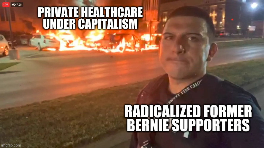 politics | PRIVATE HEALTHCARE UNDER CAPITALISM; RADICALIZED FORMER BERNIE SUPPORTERS | image tagged in everything is not fine,this is fine,this is fine dog,political meme,politics | made w/ Imgflip meme maker