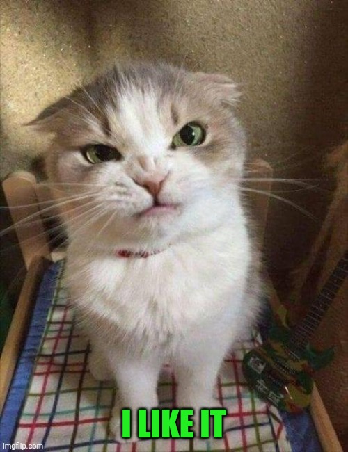 Angry cat | I LIKE IT | image tagged in angry cat | made w/ Imgflip meme maker