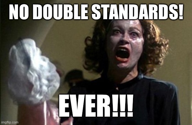 No wire hangers | NO DOUBLE STANDARDS! EVER!!! | image tagged in no wire hangers | made w/ Imgflip meme maker