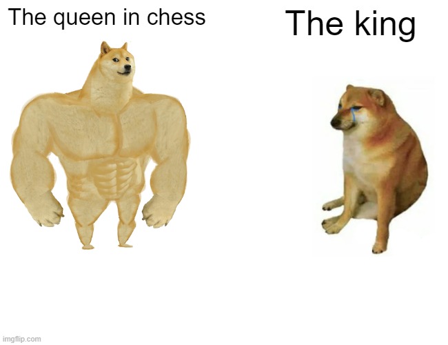 Buff Doge vs. Cheems | The queen in chess; The king | image tagged in memes,buff doge vs cheems,chess,queen,king | made w/ Imgflip meme maker