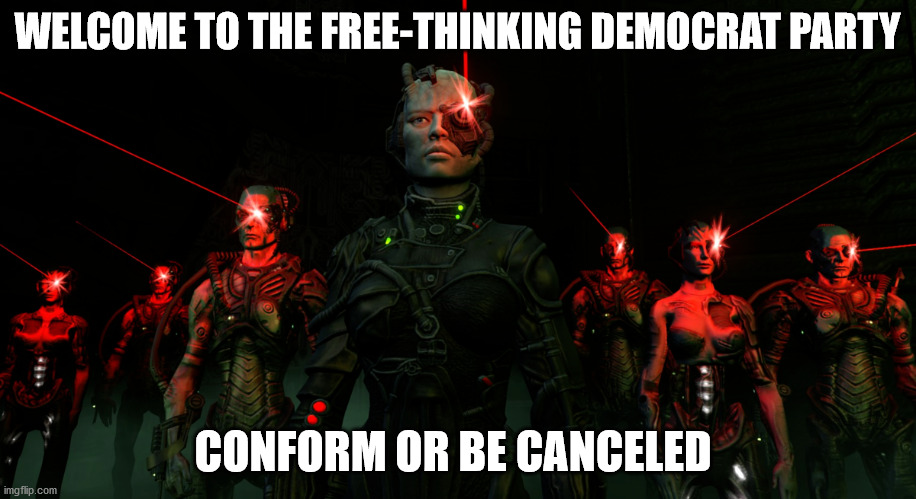 Borgacrats | WELCOME TO THE FREE-THINKING DEMOCRAT PARTY; CONFORM OR BE CANCELED | image tagged in the borg,democrats | made w/ Imgflip meme maker