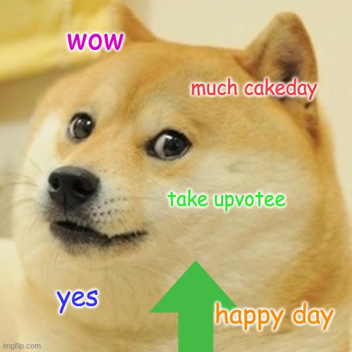 Doge Meme | wow much cakeday take upvotee yes happy day | image tagged in memes,doge | made w/ Imgflip meme maker