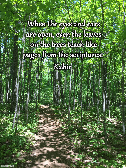 Trees | When the eyes and ears are open, even the leaves on the trees teach like pages from the scriptures. Kabir | image tagged in hiking | made w/ Imgflip meme maker