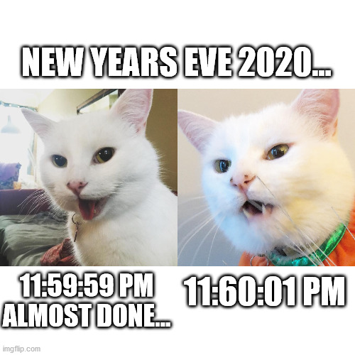 Smudge Happy Smudge Sad | NEW YEARS EVE 2020... 11:59:59 PM
ALMOST DONE... 11:60:01 PM | image tagged in smudge the cat | made w/ Imgflip meme maker