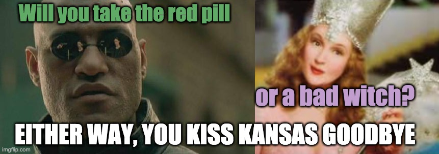 Choices | Will you take the red pill; or a bad witch? EITHER WAY, YOU KISS KANSAS GOODBYE | image tagged in memes,matrix morpheus,glinda,matrix,oz | made w/ Imgflip meme maker