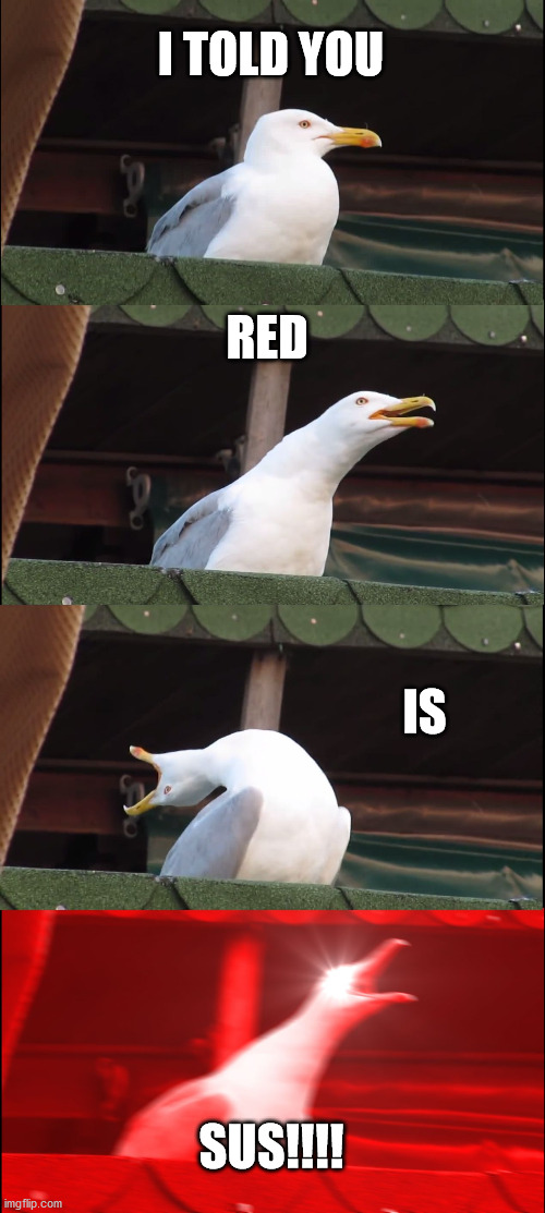 Red always sus | I TOLD YOU; RED; IS; SUS!!!! | image tagged in memes,inhaling seagull | made w/ Imgflip meme maker