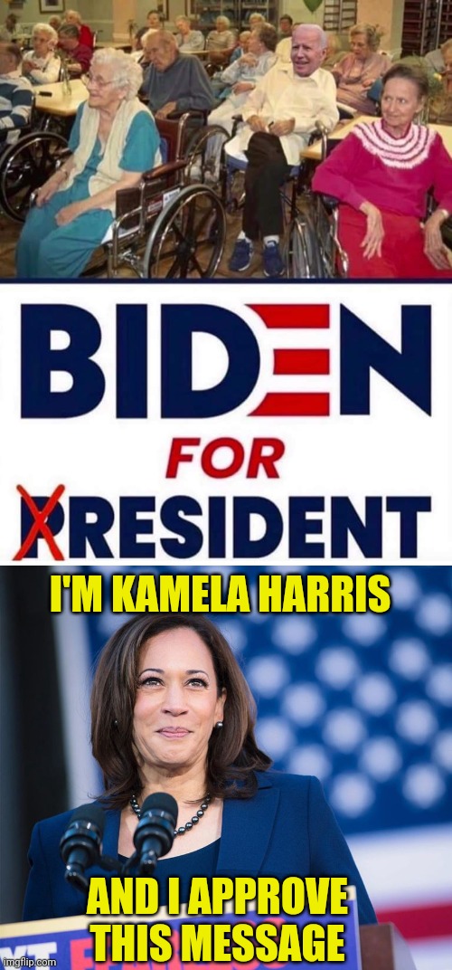 I'M KAMELA HARRIS AND I APPROVE THIS MESSAGE | image tagged in kamela harris doing something right | made w/ Imgflip meme maker