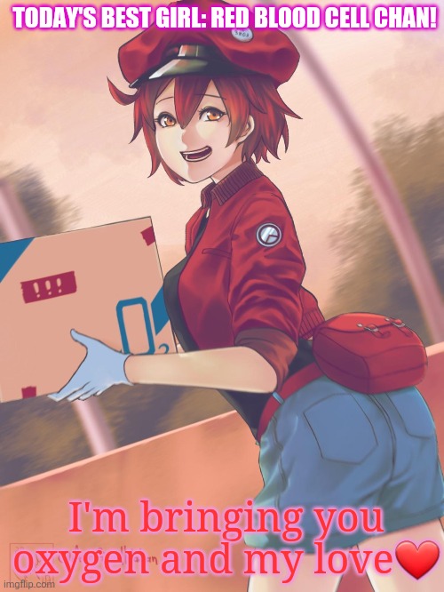 She's working hard for you everyday! | TODAY'S BEST GIRL: RED BLOOD CELL CHAN! I'm bringing you oxygen and my love❤ | image tagged in red,blood,cell,anime girl,love | made w/ Imgflip meme maker