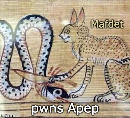 Most ancient cat meme: if you understand that Mafdet and Apep are names, you SEE that this is in English, yes? |  Mafdet; pwns Apep | image tagged in meme,egypt,cat,goddess | made w/ Imgflip meme maker