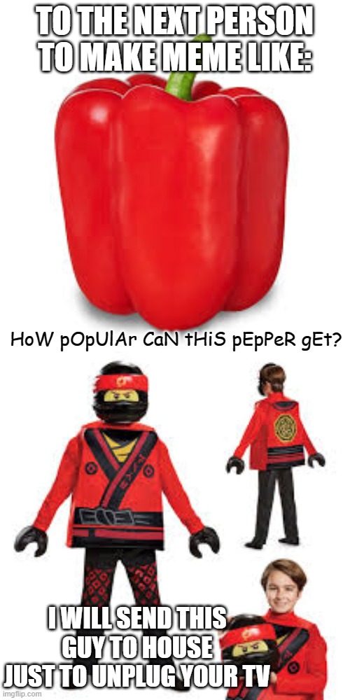 Justice must be done to beggars | TO THE NEXT PERSON TO MAKE MEME LIKE:; HoW pOpUlAr CaN tHiS pEpPeR gEt? I WILL SEND THIS GUY TO HOUSE JUST TO UNPLUG YOUR TV | image tagged in justice,nooooooooo,beggar | made w/ Imgflip meme maker