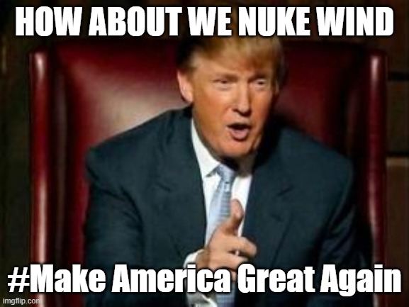 Donald Trump | HOW ABOUT WE NUKE WIND #Make America Great Again | image tagged in donald trump | made w/ Imgflip meme maker