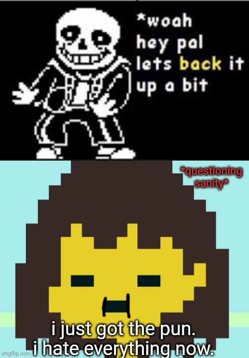 REEEEEEEEEEEEEEEEEEEEEEEEEEEEEEEEEEEEEEEEEEEEEEEEEEEEEE | *questioning sanity*; i just got the pun. i hate everything now. | image tagged in frisk's face,woah hey pal lets back it up a bit | made w/ Imgflip meme maker