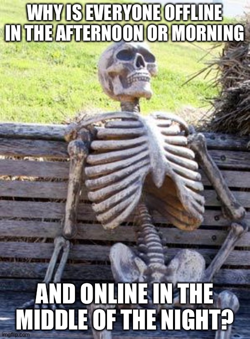 Yes. | WHY IS EVERYONE OFFLINE IN THE AFTERNOON OR MORNING; AND ONLINE IN THE MIDDLE OF THE NIGHT? | image tagged in memes,waiting skeleton | made w/ Imgflip meme maker