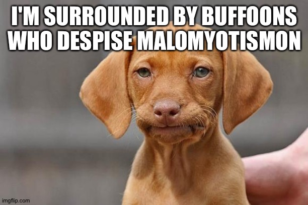 unamused dog | I'M SURROUNDED BY BUFFOONS WHO DESPISE MALOMYOTISMON | image tagged in unamused dog | made w/ Imgflip meme maker