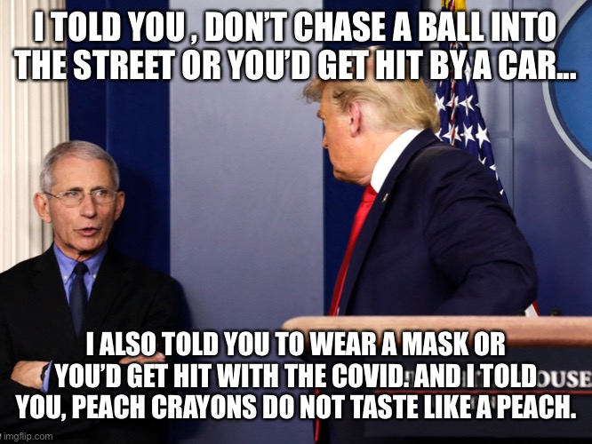 Trump and Fauci | I TOLD YOU , DON’T CHASE A BALL INTO THE STREET OR YOU’D GET HIT BY A CAR... I ALSO TOLD YOU TO WEAR A MASK OR YOU’D GET HIT WITH THE COVID. AND I TOLD YOU, PEACH CRAYONS DO NOT TASTE LIKE A PEACH. | image tagged in trump and fauci | made w/ Imgflip meme maker