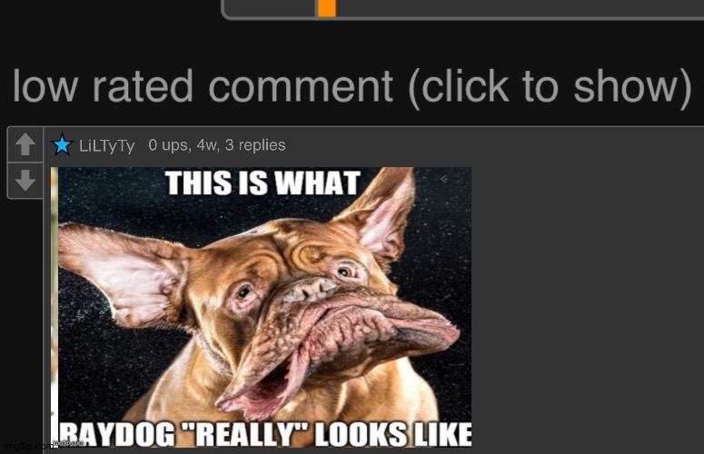 Well... I don't think raydog looks like that... | made w/ Imgflip meme maker