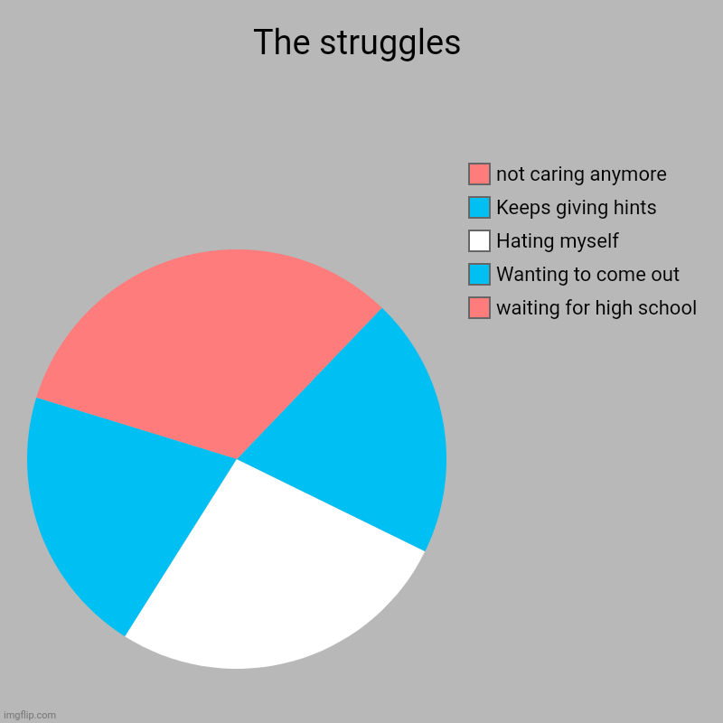 The struggles | waiting for high school, Wanting to come out, Hating myself, Keeps giving hints, not caring anymore | image tagged in charts,pie charts | made w/ Imgflip chart maker